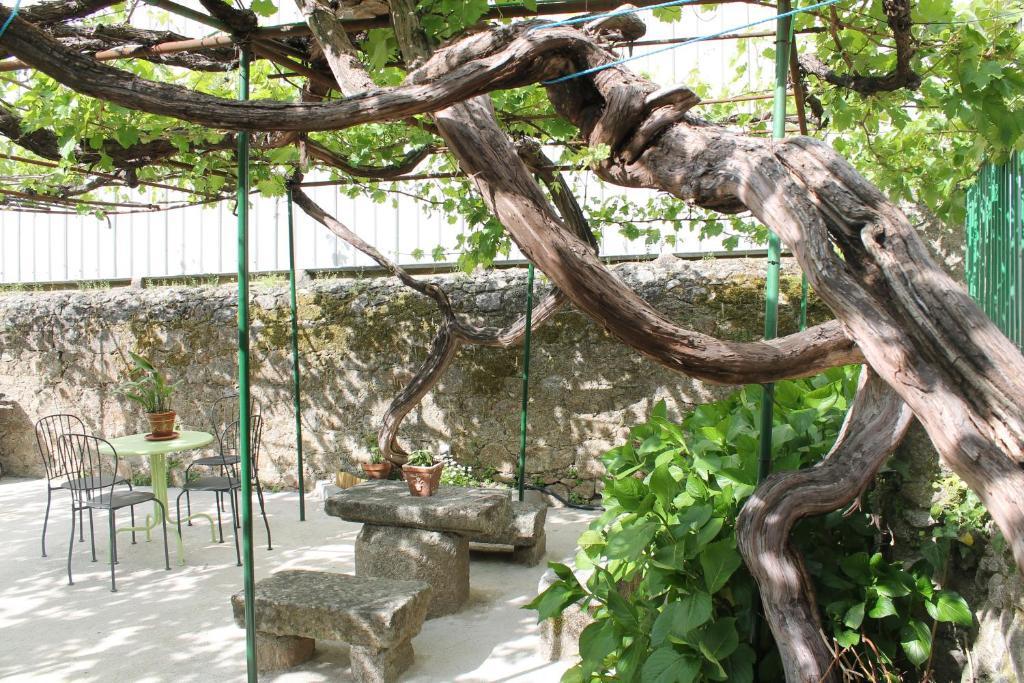 Casa Jardin De La Plata Διαμέρισμα Banos De Montemayor Εξωτερικό φωτογραφία