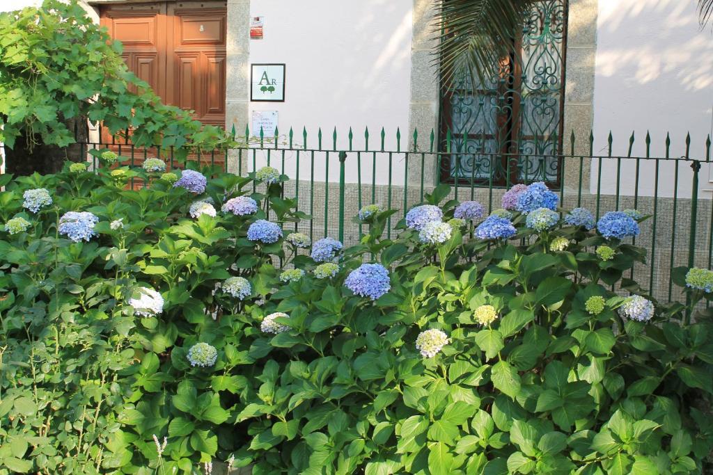 Casa Jardin De La Plata Διαμέρισμα Banos De Montemayor Εξωτερικό φωτογραφία